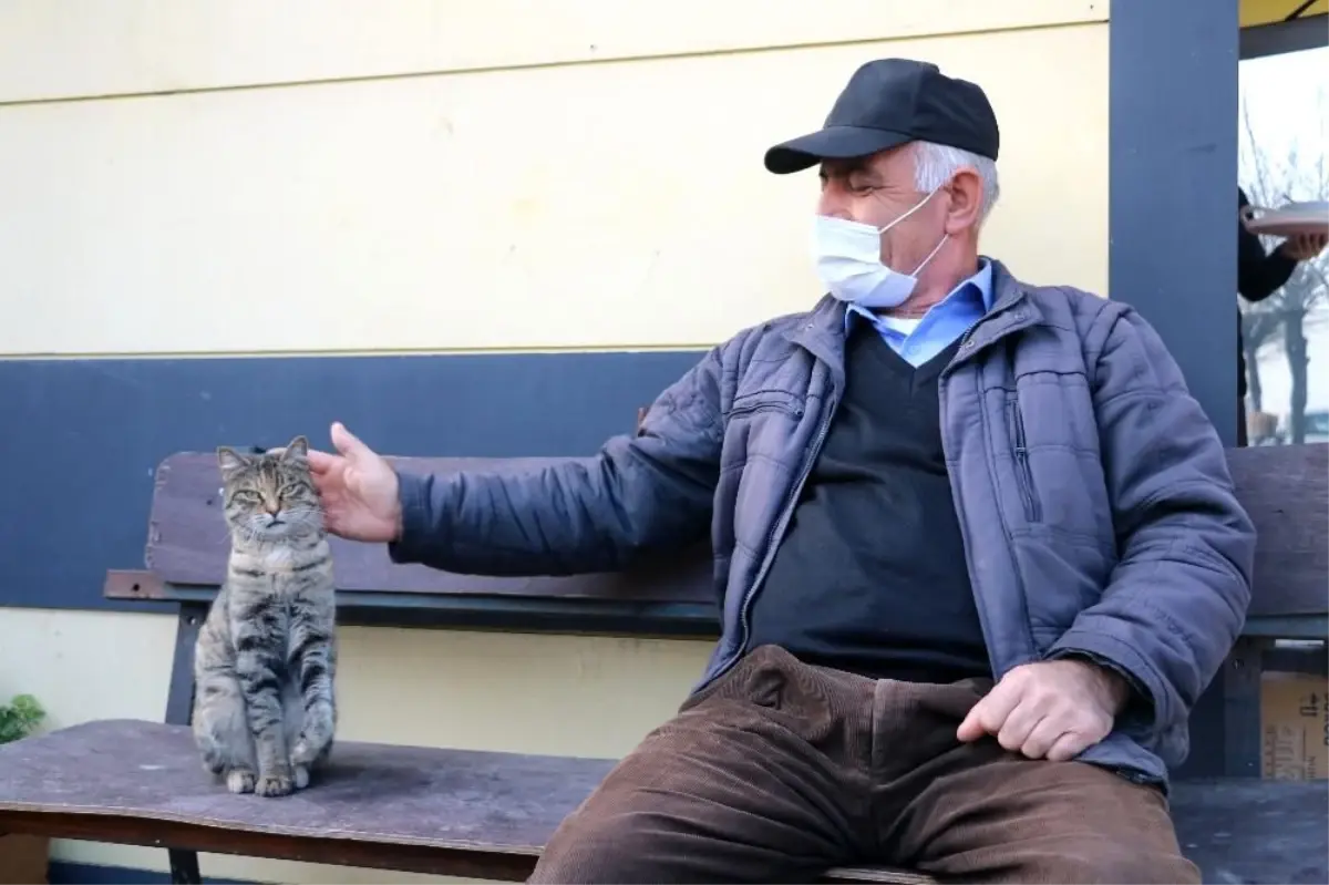 Patisinden sakatlanan kediye taksiciler sahip çıktı