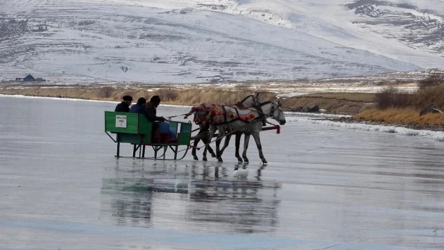 Son yılların en sıcak kışının yaşandığı Çıldır Gölü'nde atlı kızak sezonu başladı