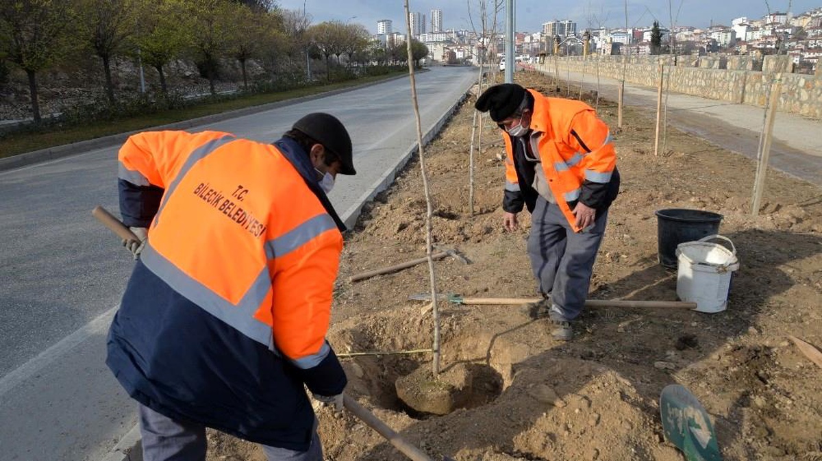 Dikilen yüzlerce fidan ile Bilecik ilkbahara hazırlanıyor