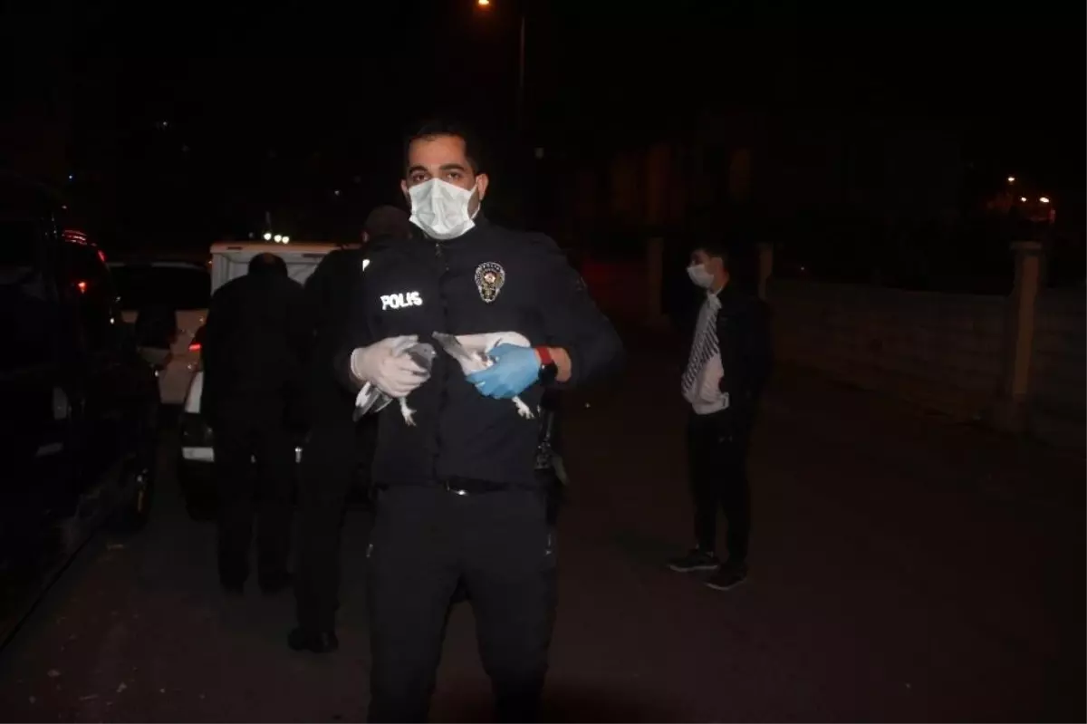 Polisi şaşırtan manzara