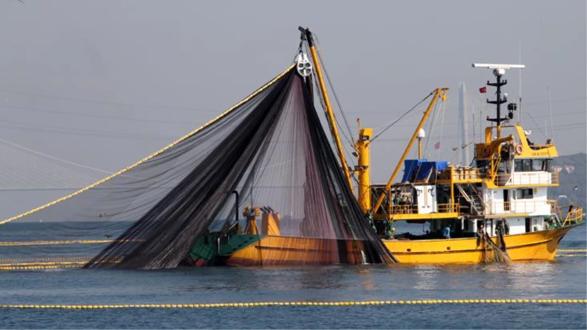 Son dakika: İstanbul Boğazı ve Karadeniz\'de hamsi avı 10 gün boyunca yasaklandı