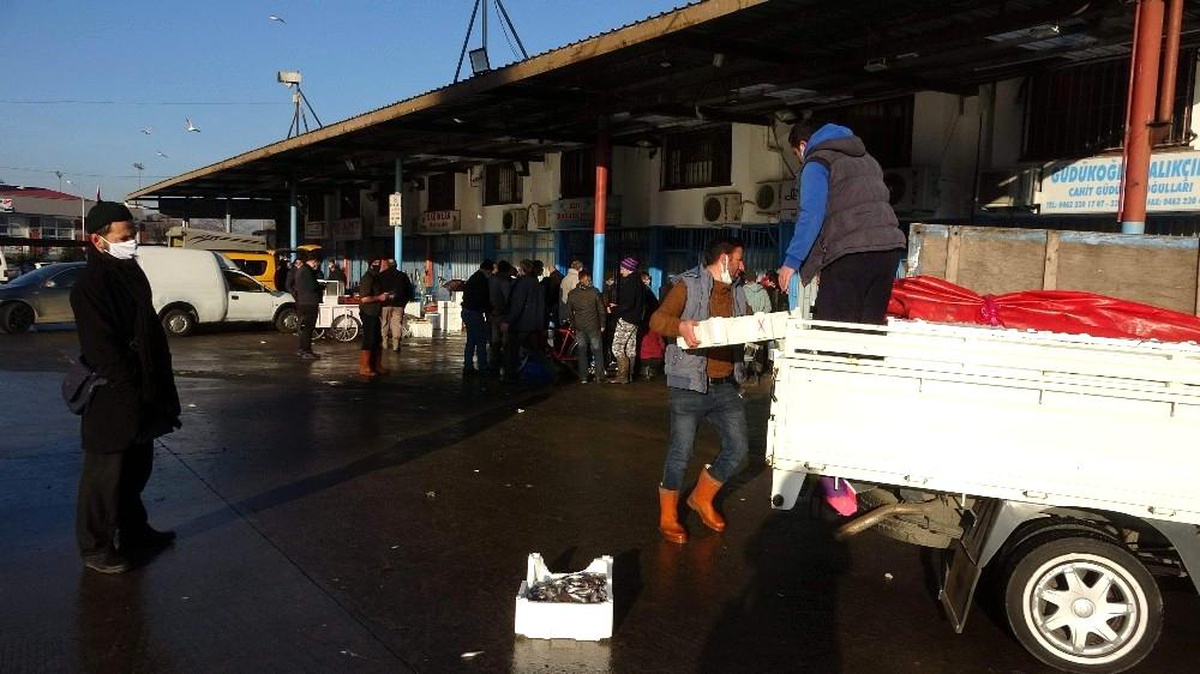 Trabzon Toptancı Balık Hali\'ne gelen balık miktarındaki düşüş devam ediyor