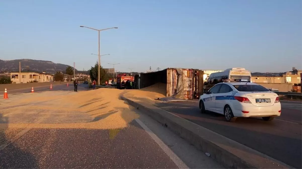 Virajı alamayan tır devrildi, tonlarca mısır yola savruldu