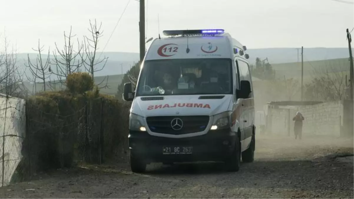 Akraba iki ailenin arazi kavgasında kan aktı: 5 kişi yaralandı