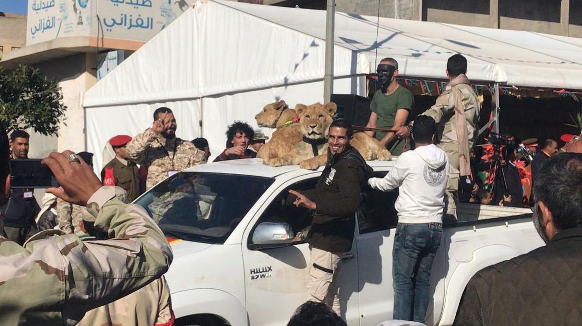 Libya: Altı kardeş ve aslanları bir kente nasıl dehşeti yaşattı?