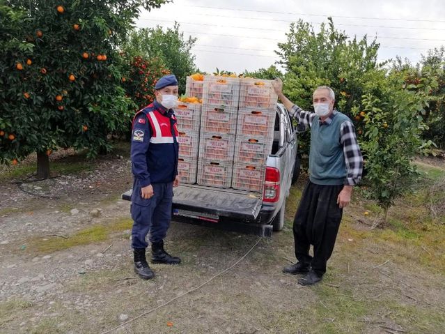 Bir otomobil dolusu portakalı çalamadan kaçtı