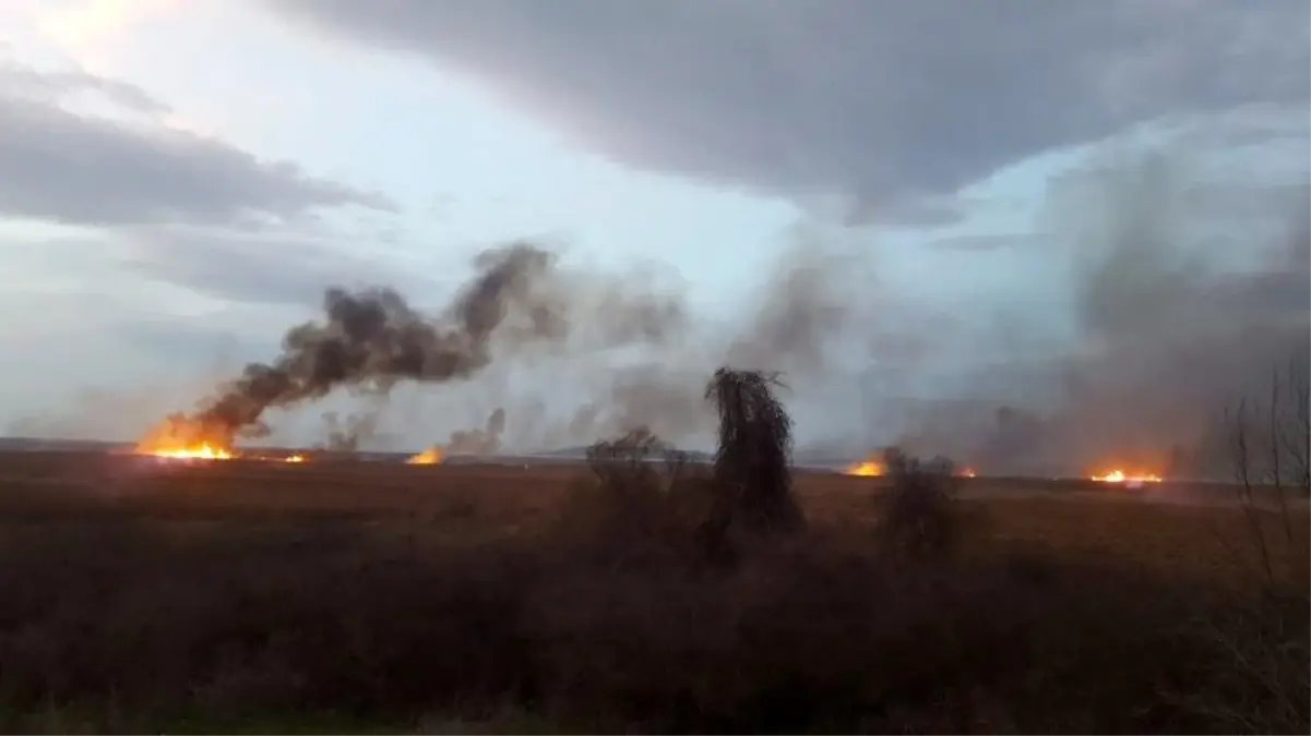 Bursa\'daki sazlık yangını devam ediyor