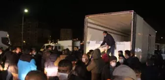 Hamsiye av yasağı gelince balıkçılar hale akın etti