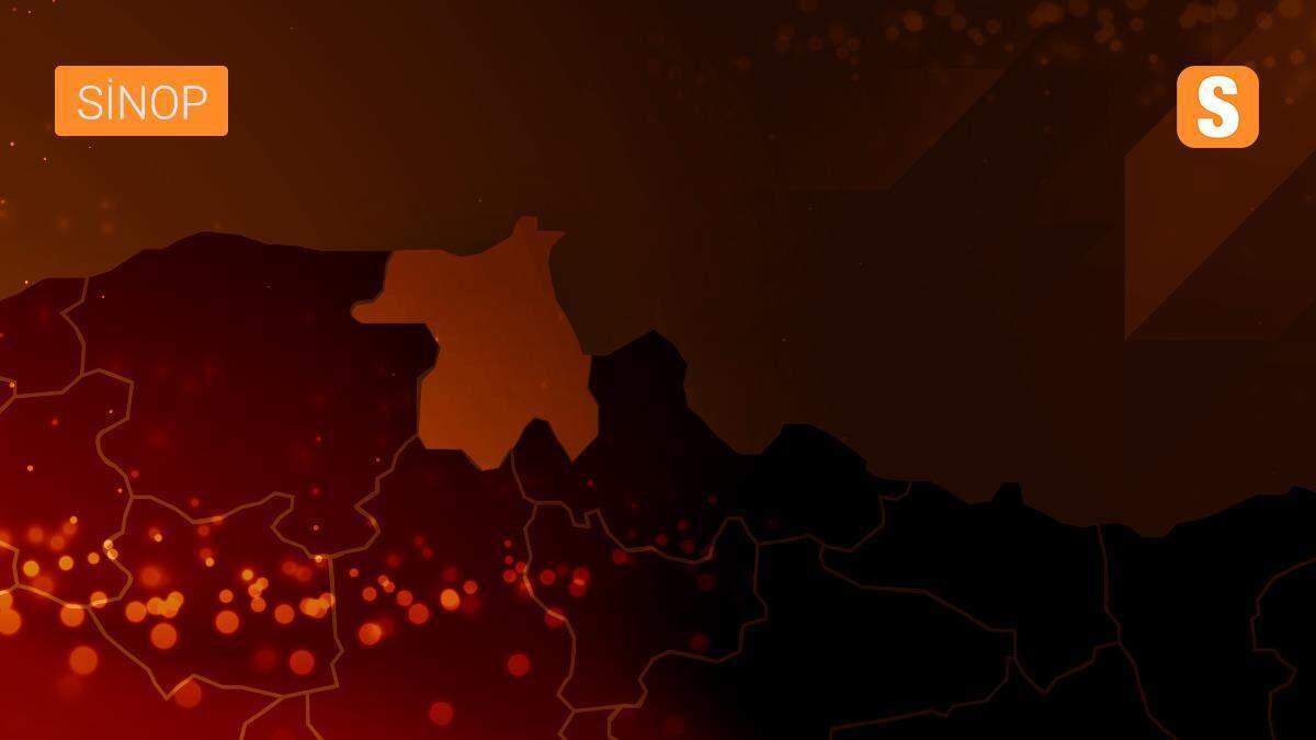 Boyabat\'ta ormarlardar toplanan Kanlıca mantarı ilgi görüyor