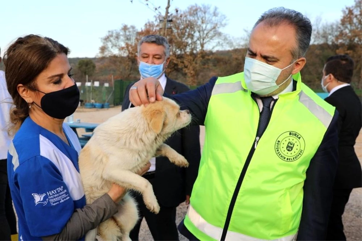 Bursa\'nın emekli hayvanlar çiftliği