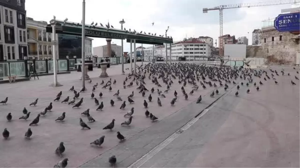 Son dakika haber... Kısıtlamada Bolu\'daki sokak hayvanları unutulmadı