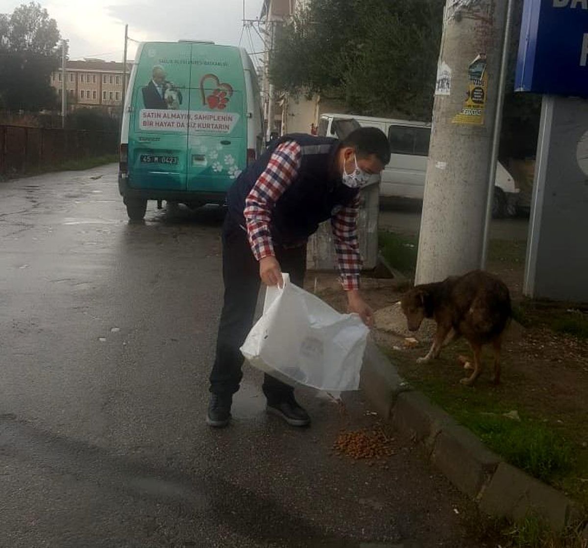 Manisa\'da sokak hayvanlarına mama desteği