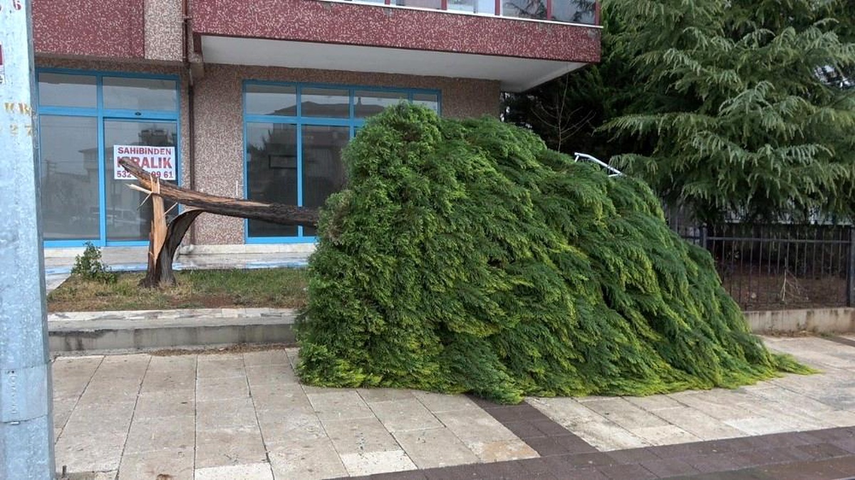 Denizli ve 4 il için fırtına uyarısı