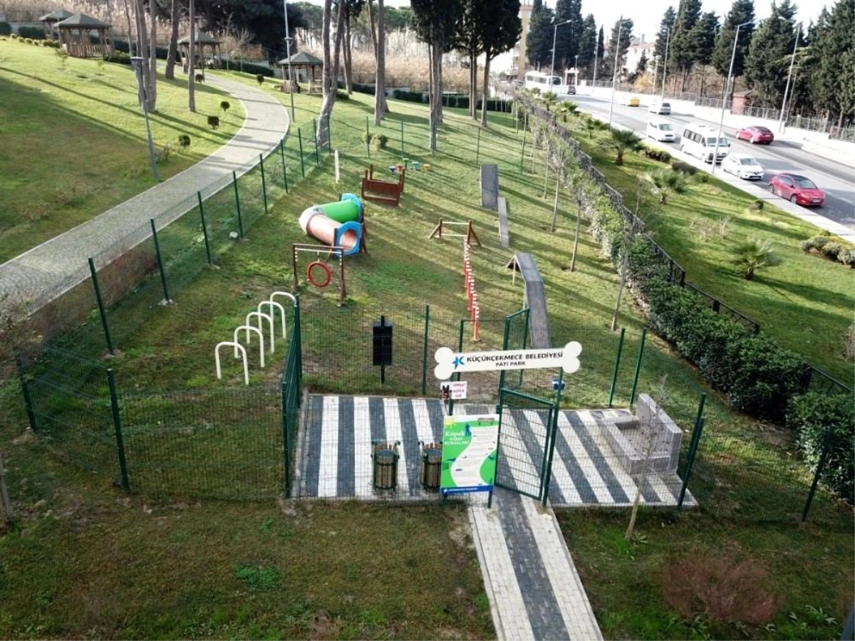 Küçükçekmece\'de köpeklere özel pati park