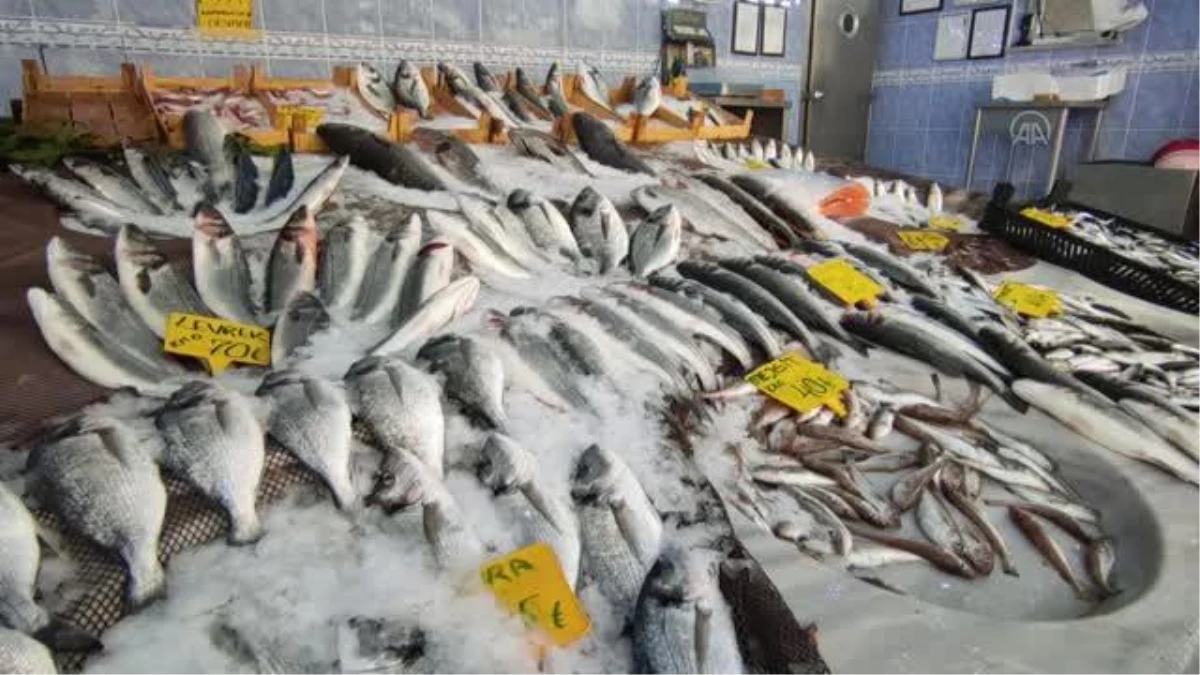 Soğuk hava balık fiyatlarına yansıdı