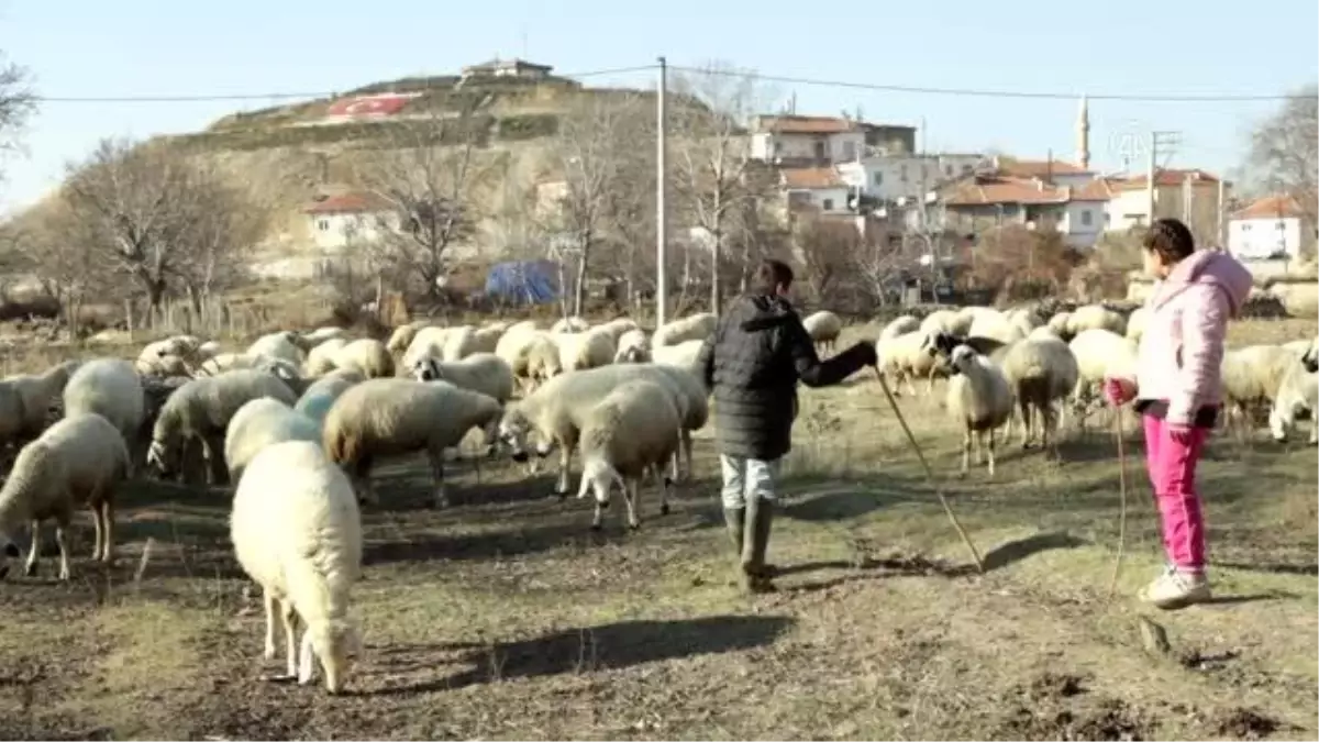 Son dakika haberleri... "Küçük çoban", resim tutkusuyla herkesin beğenisini kazanıyor