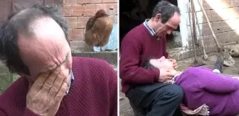 Tek geçim kaynaklarıydı! Talihsiz kadın, telef olan inekleri için gözyaşı dökerken bayıldı