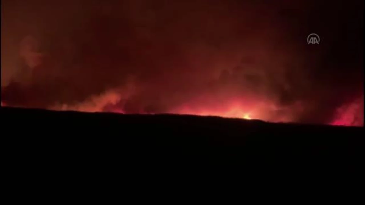 AFYONKARAHİSAR - Eber Gölü\'nde çıkan yangında yaklaşık 8 bin dekar kamışlık alan zarar gördü