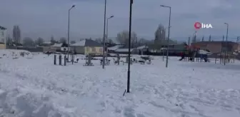 Çaldıran'da karbondioksit gazı sorunu