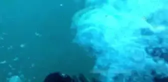 Endonezya'da düşen yolcu uçağının kokpit ses kayıt cihazını arama çalışmaları sürüyor