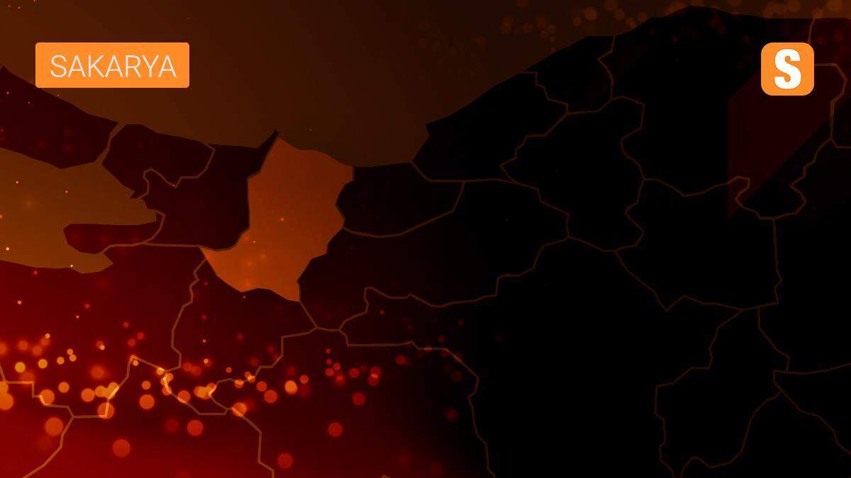 Karasu\'dan lise öğrencileri, TÜBİTAK yarışmasında ikinci oldu