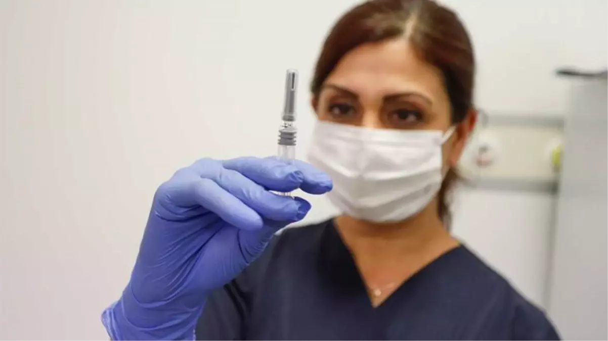 Koronavirüs aşısı için randevu nasıl alınır? Bilim Kurulu Üyesi Prof. Dr. Ateş Kara tek tek anlattı