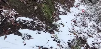 Çanakkale'de yılın ilk karı Kaz Dağları'na yağdı