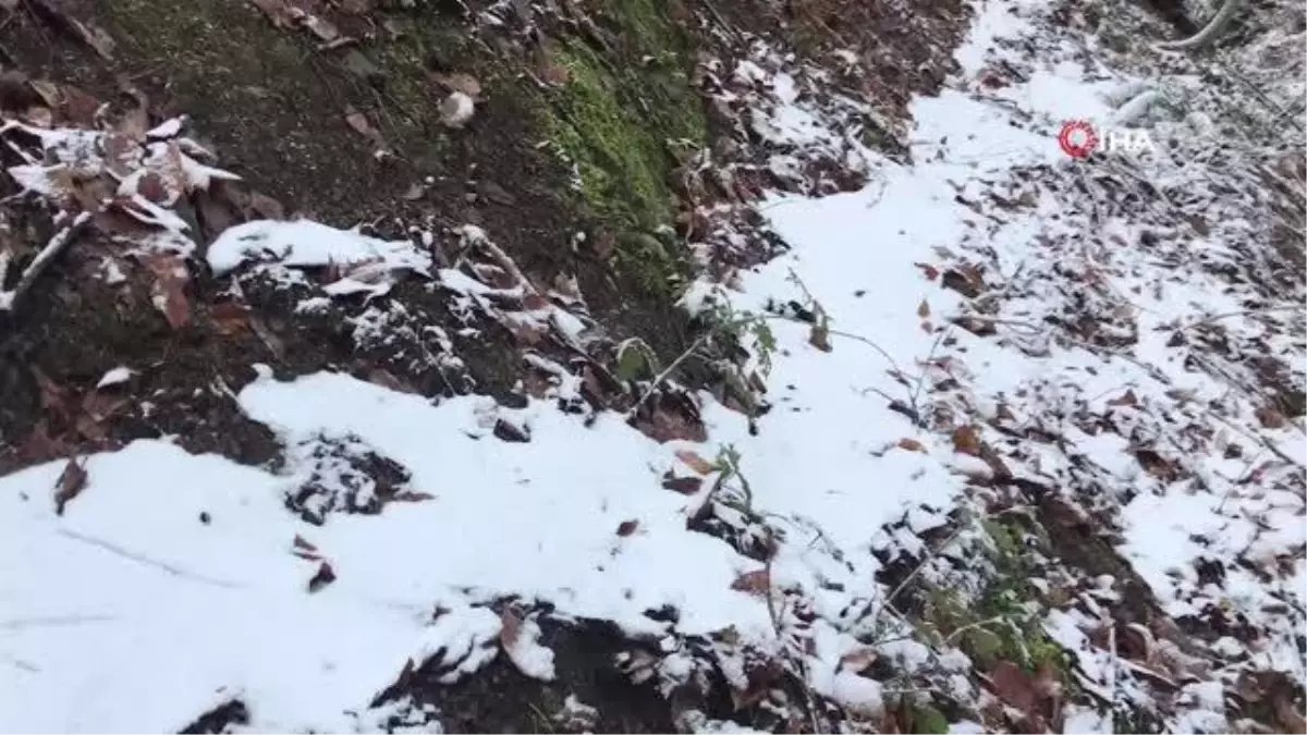Çanakkale'de yılın ilk karı Kaz Dağları'na yağdı