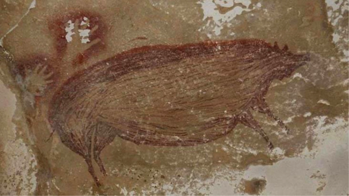 Endonezya\'da bir mağarada en az 45 bin 500 yıllık hayvan çizimi bulundu