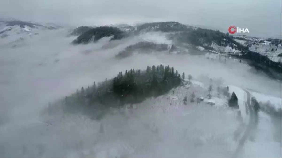 Ordu'da kartpostallık kar manzaraları