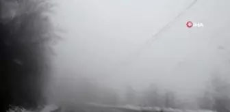 Ordu'nun yüksek kesimleri beyaza büründü