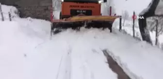 Sakarya'da yüksek kesimlerde karla mücadele başladı