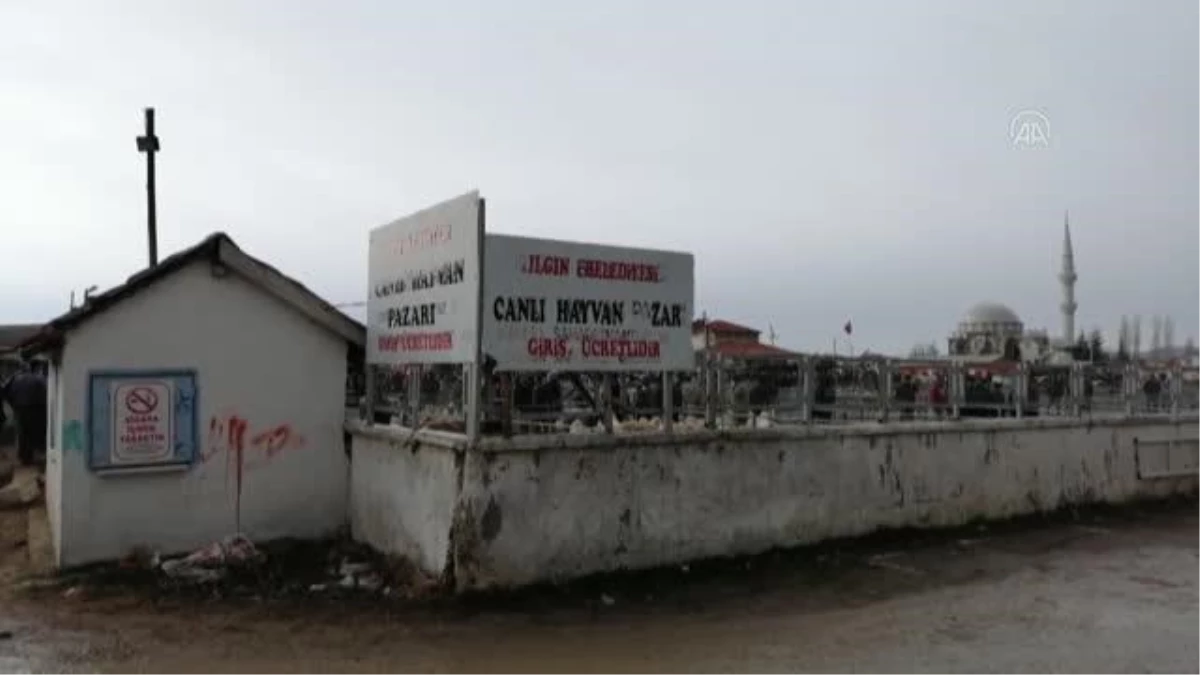 Ilgın\'daki hayvan pazarı yeniden faaliyete açıldı