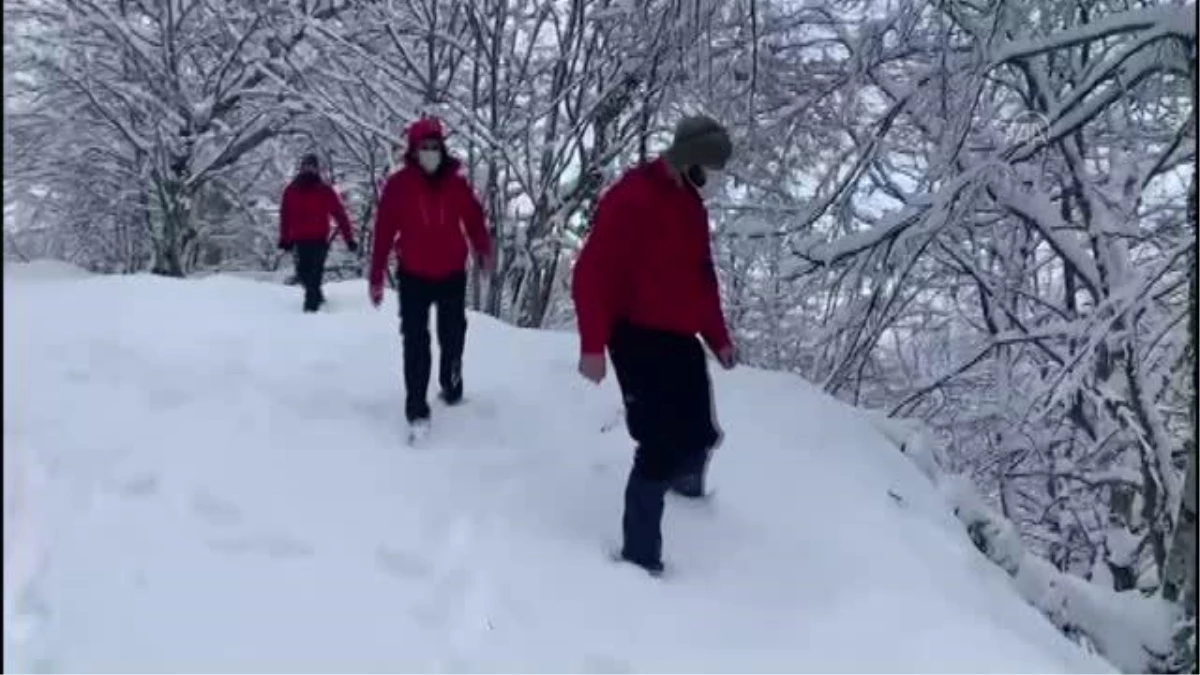 Kartepe\'de dağlık bölgede kaybolan doktoru arama çalışmalarına ara verildi