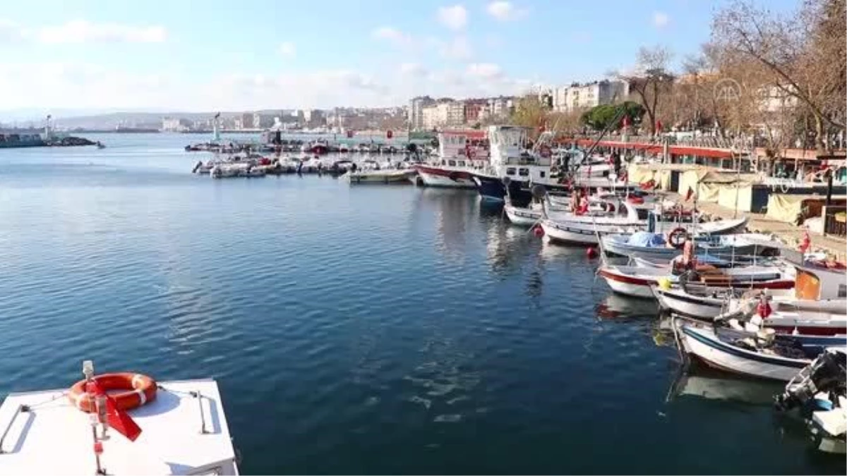 Yeni yılda tezgahın gözdesi "çinekop ve istavrit"