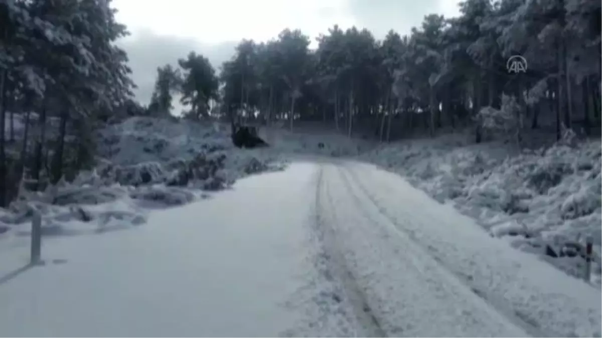 BALIKESİR - Doğada aç kalan sokak hayvanları unutulmadı