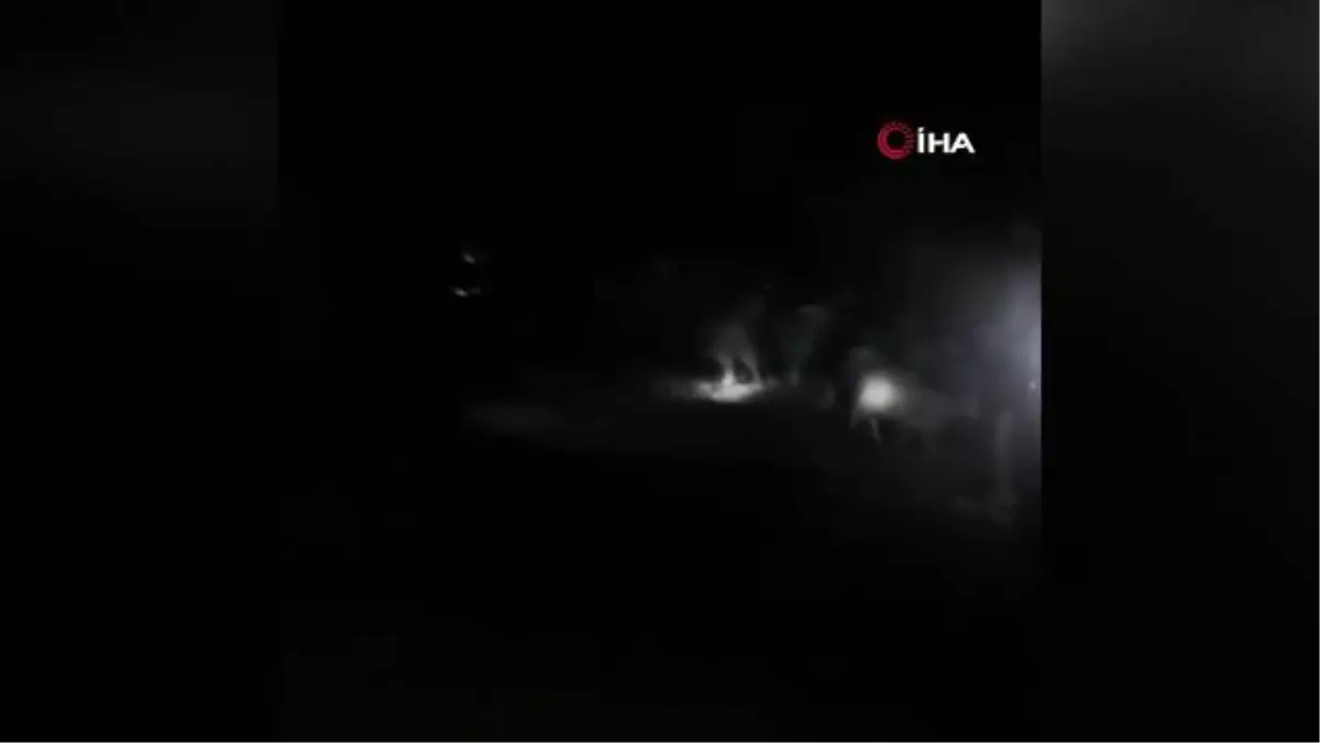 Başkent\'te kurtlar 9 koyunu telef etti