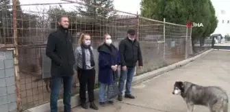 'Büyükşehir Belediyesi sokak hayvanlarına sahip çıkmıyor' iddiasıHayvanat bahçesi bulunan şehirde, donanımlı bir hayvan barınağı ve hastanesi...