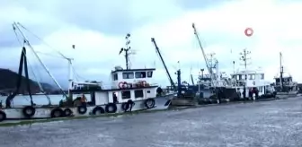 Sinop'ta deniz mayını bulundu