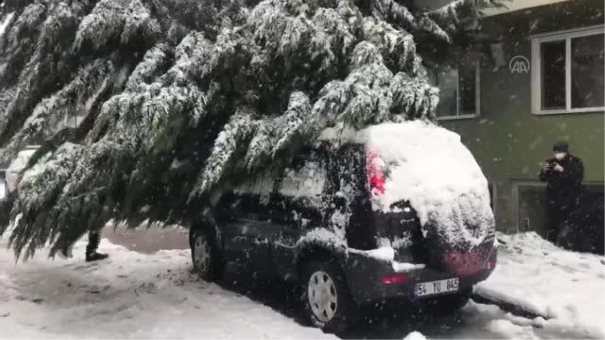 Yoğun kar yağışı nedeniyle arazi aracının üzerine ağaç devrildi