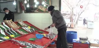 Aşırı avlanma hamsi fiyatları etkiliyor