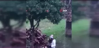 Kuşadası'nda kar sürprizi