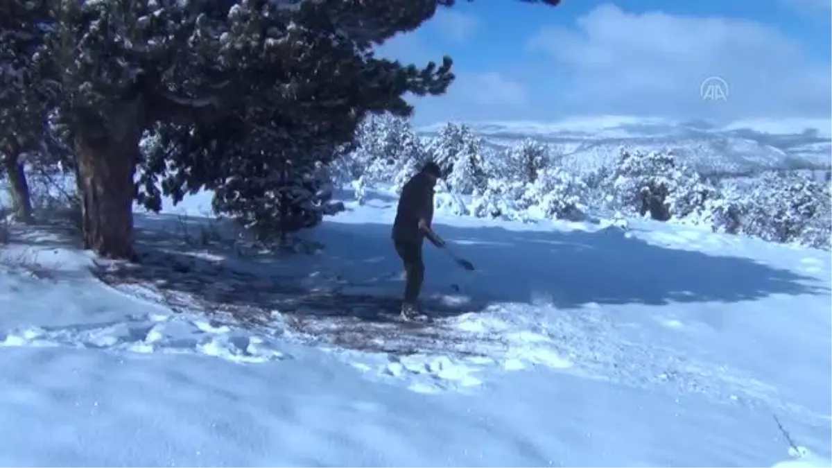 Yaban hayvanları için doğaya yem bırakıldı