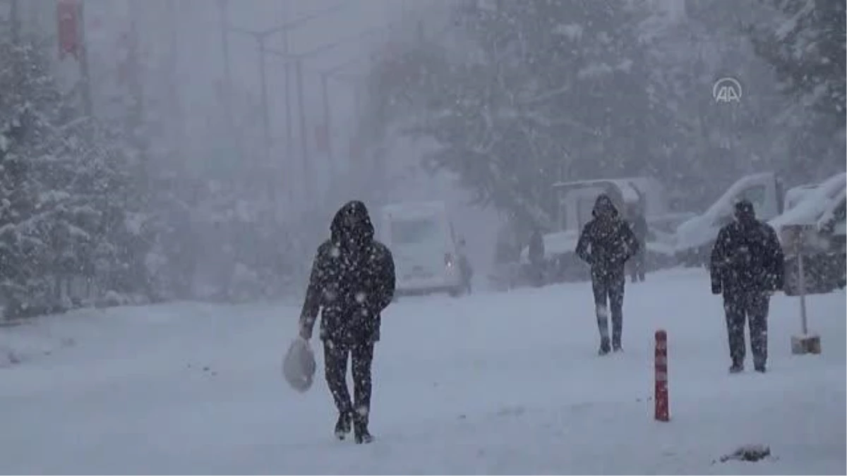 Ahlat\'ta kar yağışı yaşamı olumsuz etkiledi