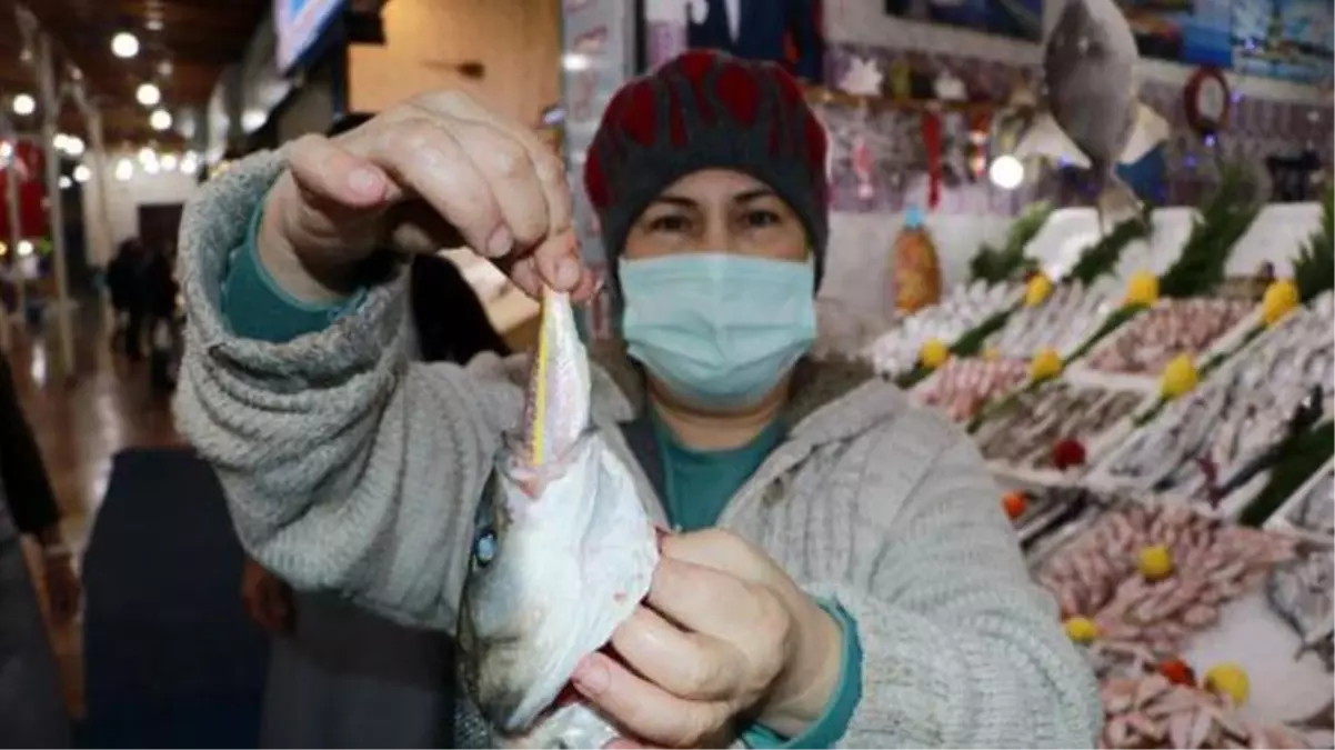 Sahtekarlar balıklara tartıda ağır gelsin diye olta kurşunu ve küçük balık yutturuyor