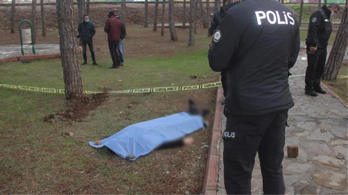 Çocuk parkında kan donduran görüntü: 2 kurşunla öldürülmüş cansız beden bulundu