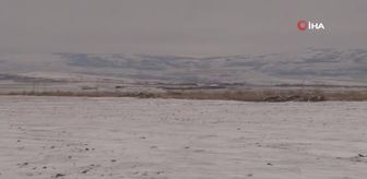 Kurak günlerde yağan kar, çiftçinin yüzünü güldürdü