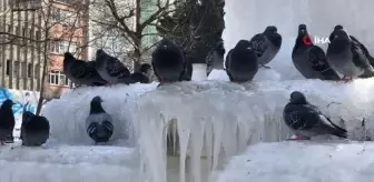 Şehir merkezindeki süs havuzları dondu