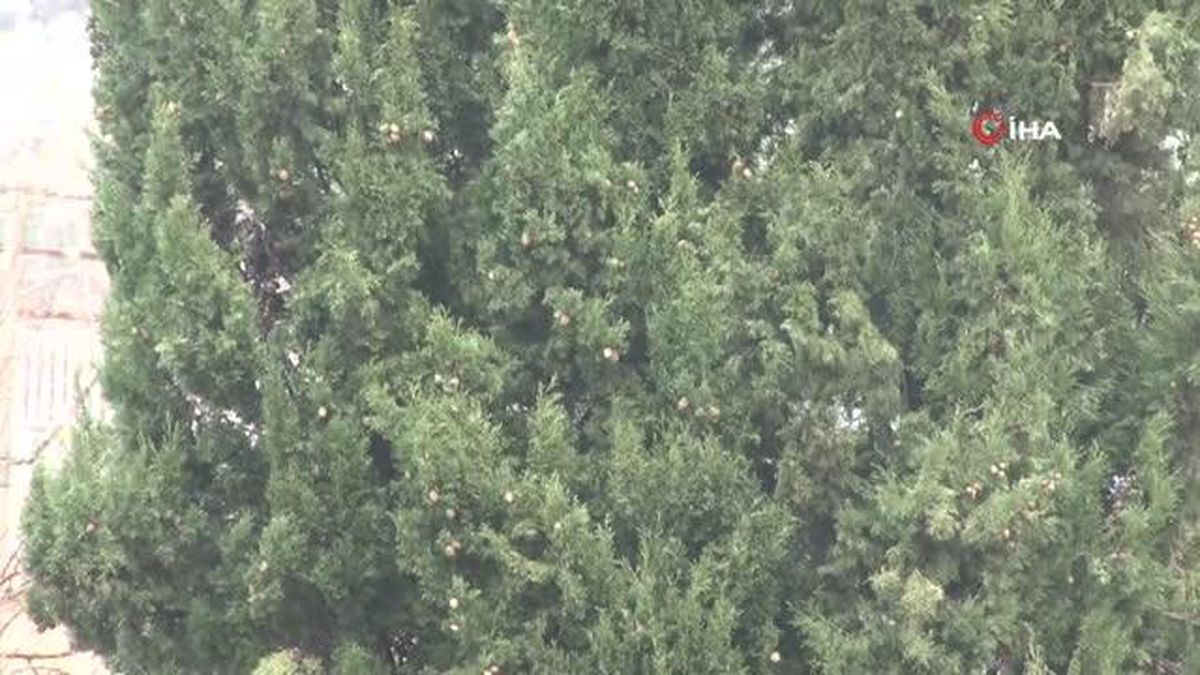 Türkiye\'nin en sıcak illerinden Şanlıurfa\'da kar sevinci