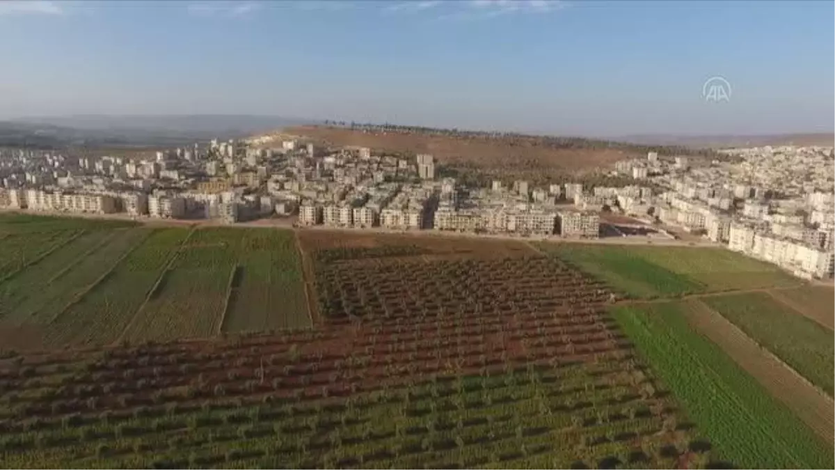 Zeytin Dalı Harekatı\'nın 3. yılı